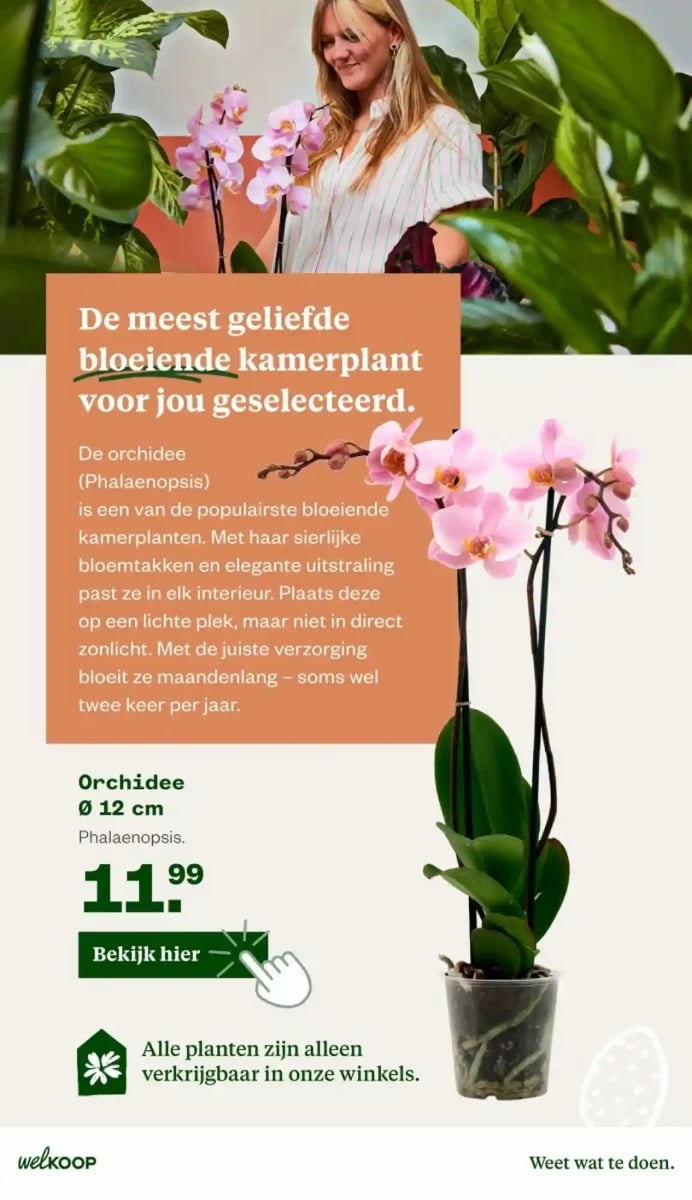 Welkoop folder – pagina 26