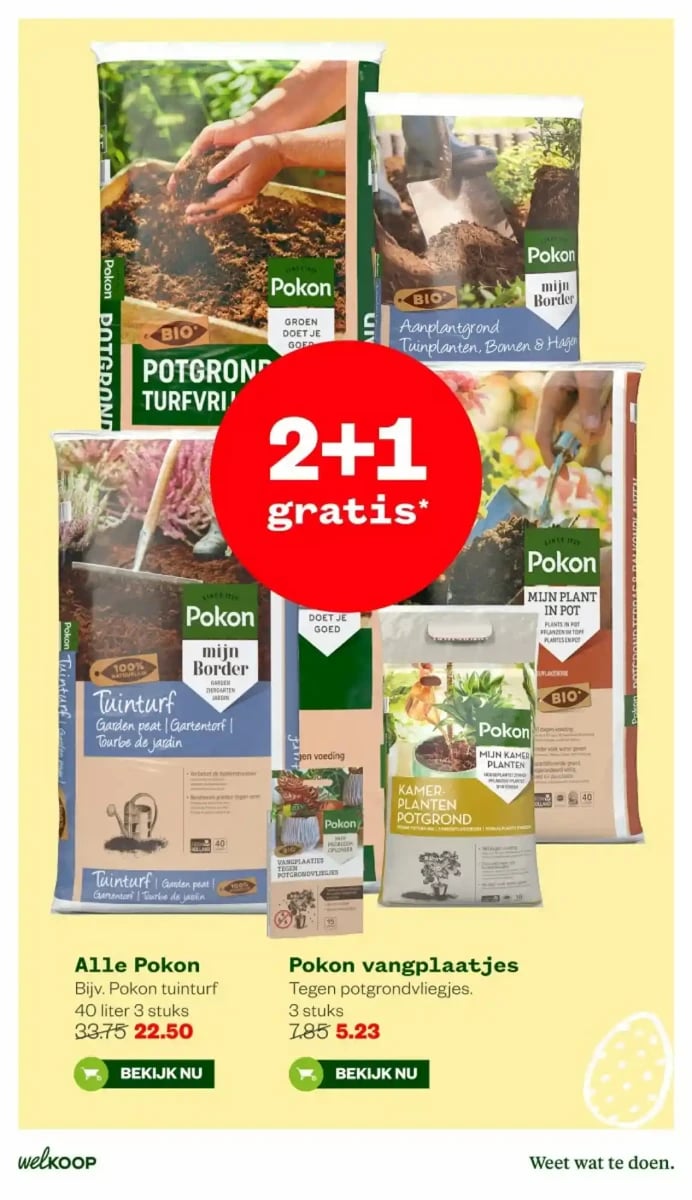 Welkoop folder – pagina 29