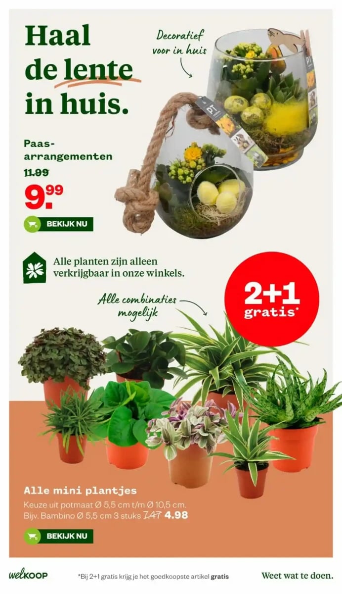 Welkoop folder – pagina 27