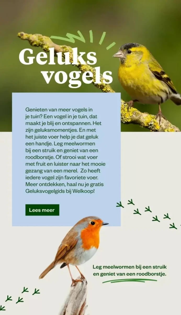 Welkoop folder – pagina 6