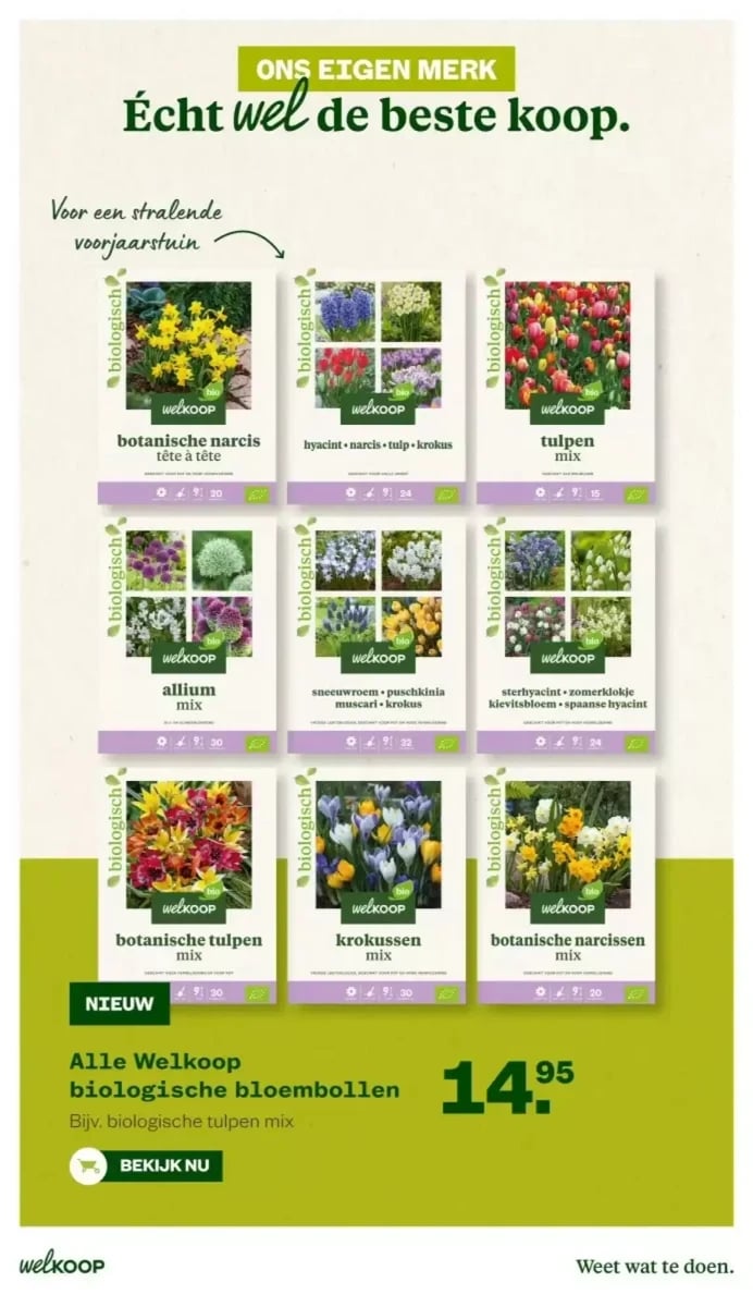 Welkoop folder – pagina 19