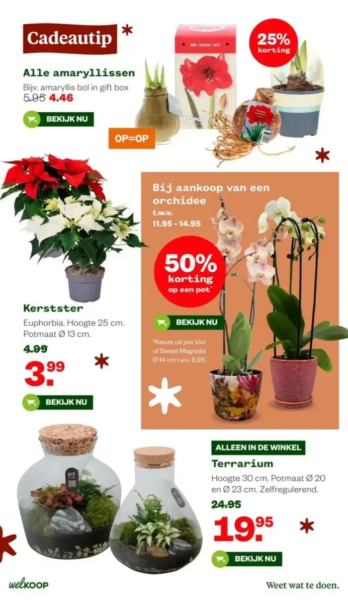 Welkoop folder – pagina 14