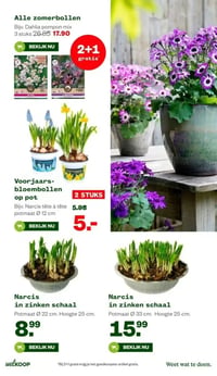 Alle zomerbollen aanbieding bij Welkoop – geldig van 09.02.2026 t/m 15.02.2026