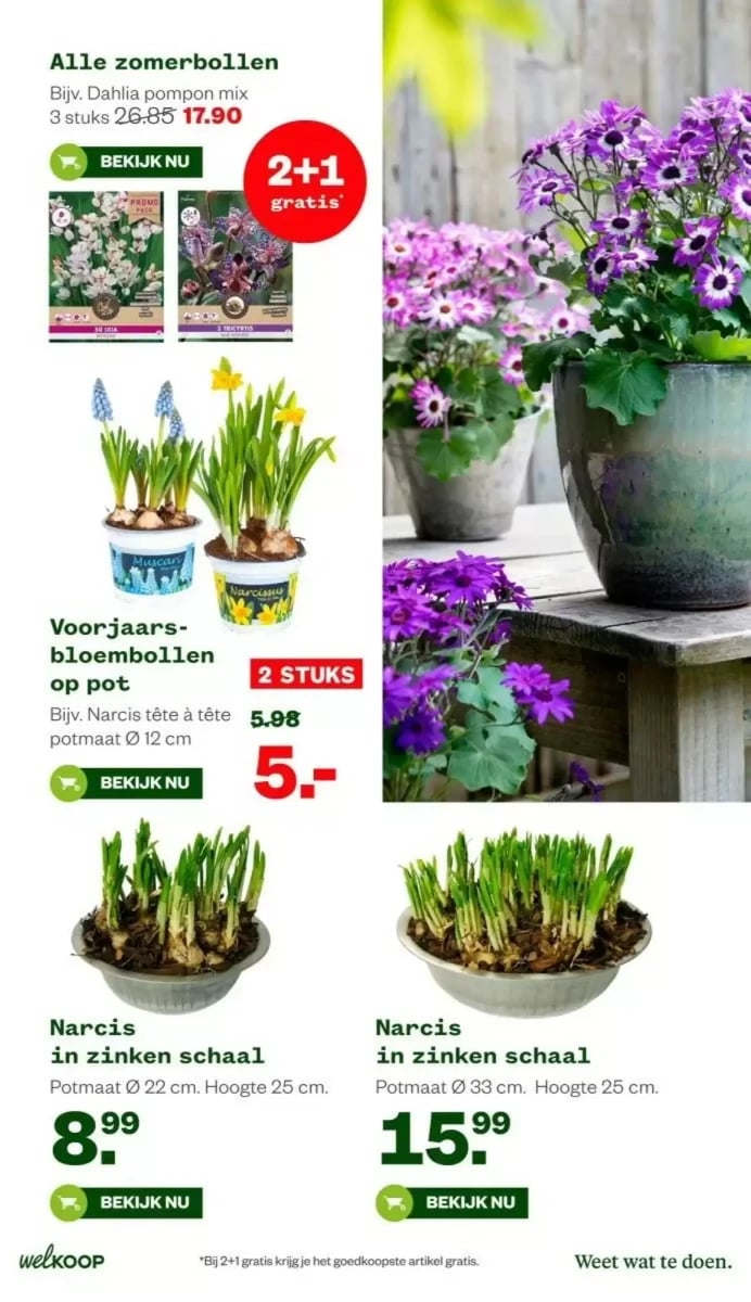 Welkoop folder – pagina 15