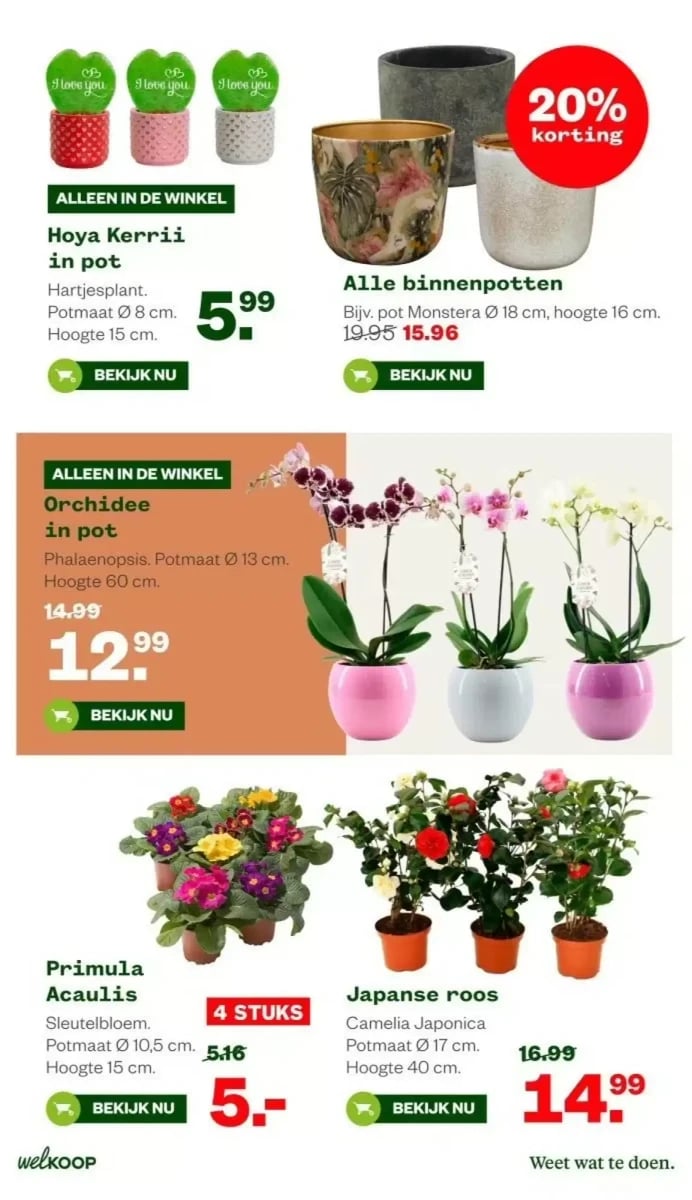 Welkoop folder – pagina 16