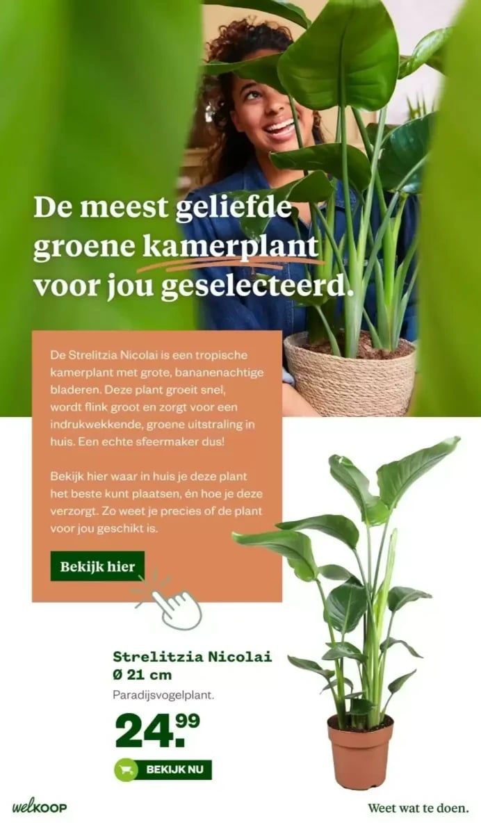 Welkoop folder – pagina 14