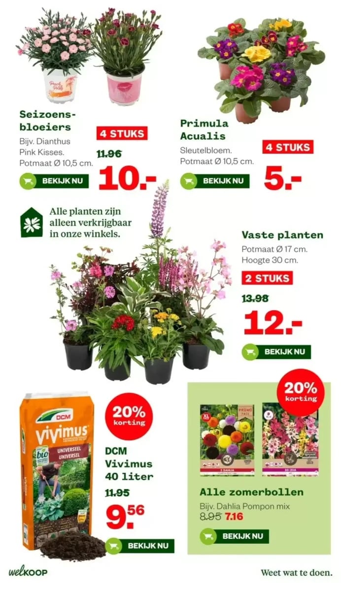 Welkoop folder – pagina 13