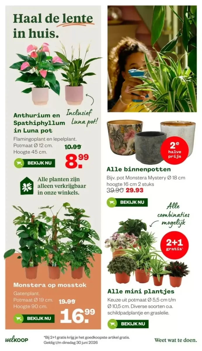Welkoop folder – pagina 15