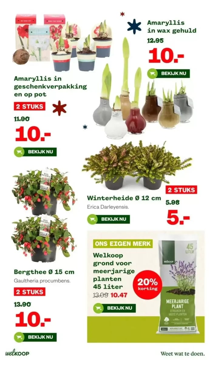 Welkoop folder – pagina 15