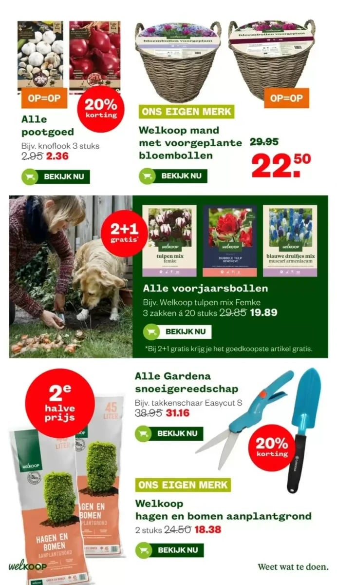 Welkoop folder – pagina 16