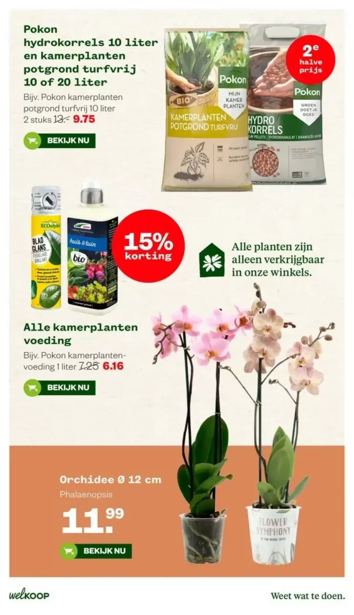 Welkoop folder – pagina 17