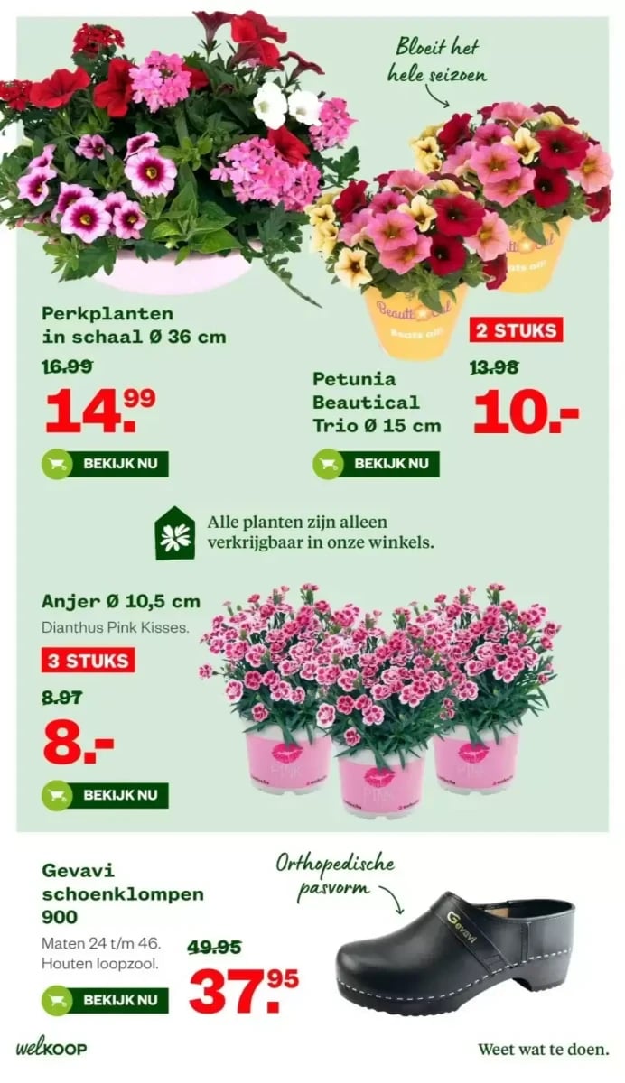 Welkoop folder – pagina 14