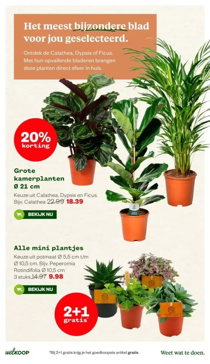 Welkoop folder – pagina 16