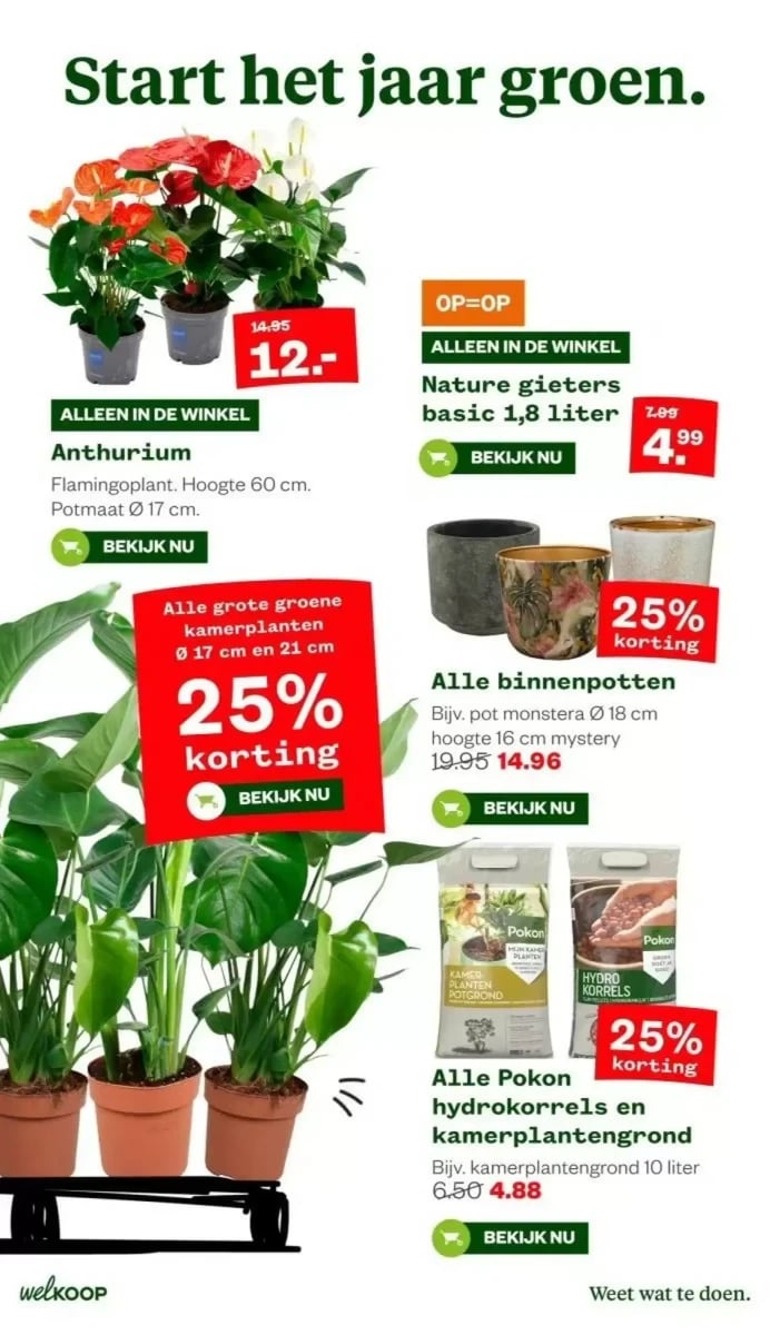Welkoop folder – pagina 16