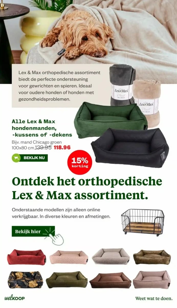 Welkoop folder – pagina 31