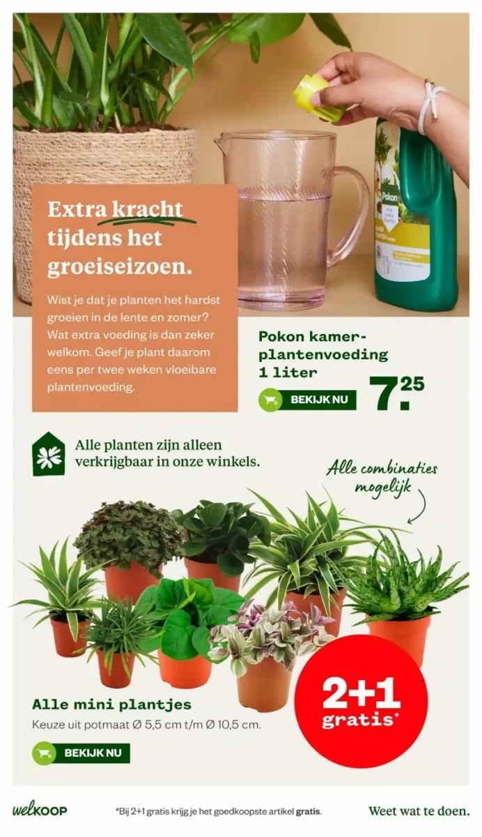 Welkoop folder – pagina 9