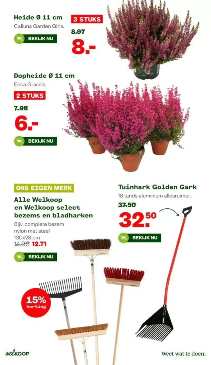 Welkoop folder – pagina 21