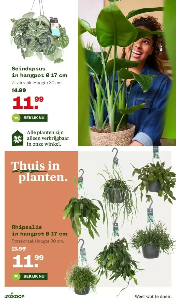 Welkoop folder – pagina 27