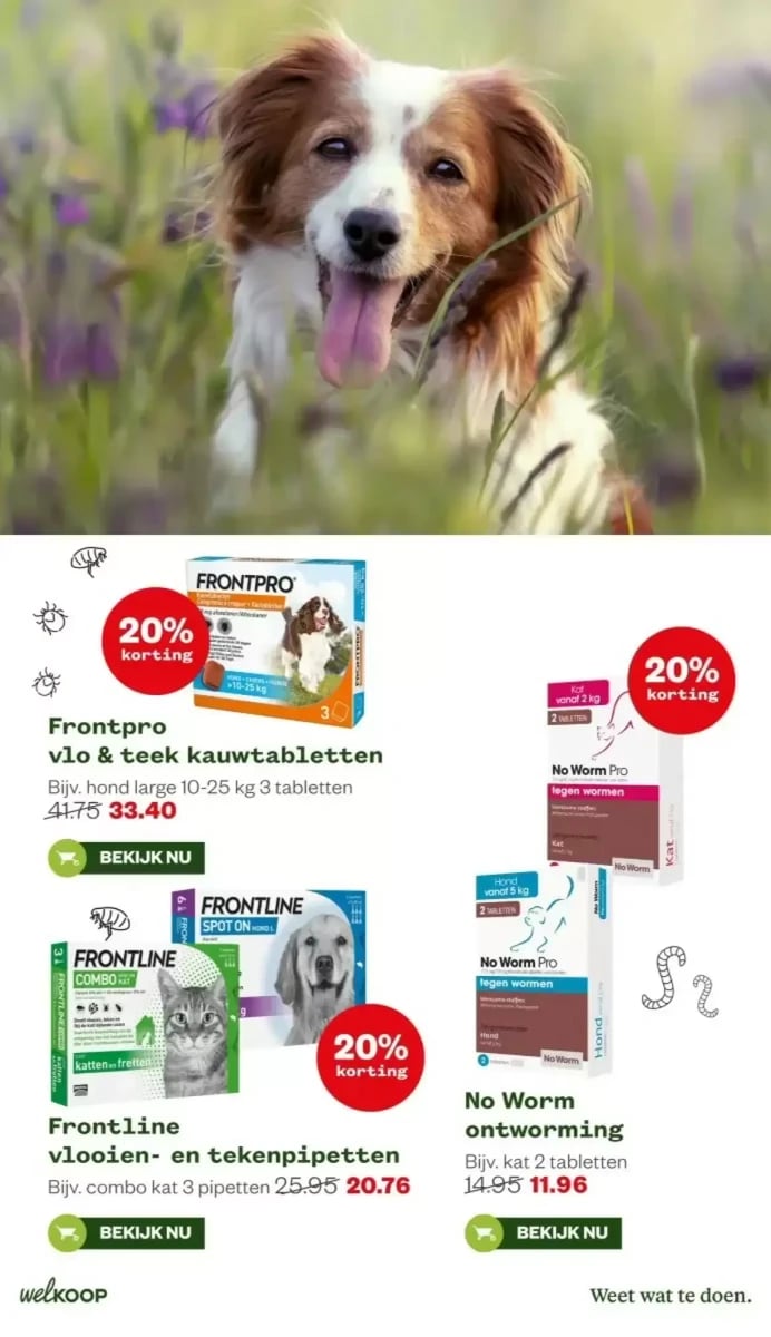 Welkoop folder – pagina 19