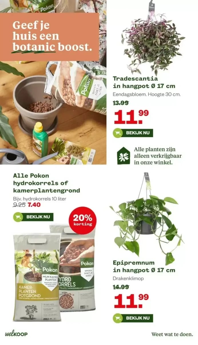 Welkoop folder – pagina 20