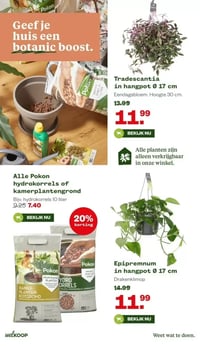 Tradescantia in hangpot Ø 17 cm aanbieding bij Welkoop – geldig van 16.02.2026 t/m 01.03.2026