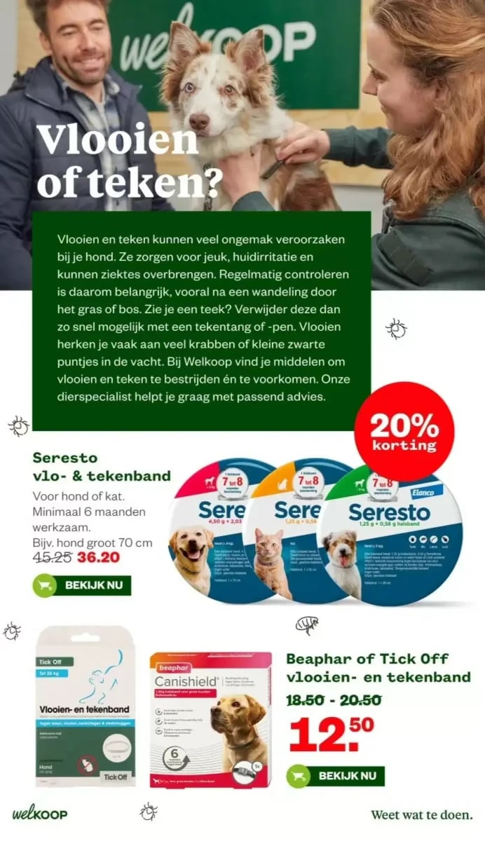 Welkoop folder – pagina 33
