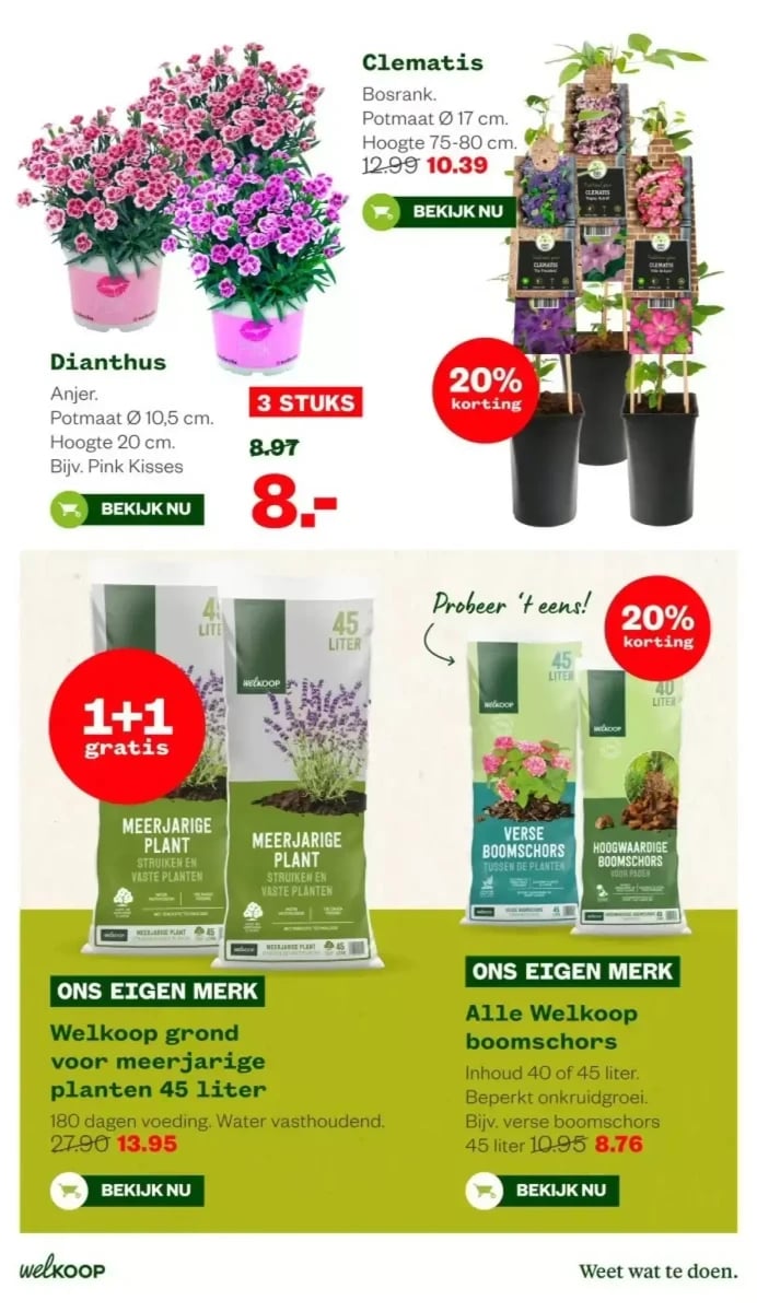 Welkoop folder – pagina 11