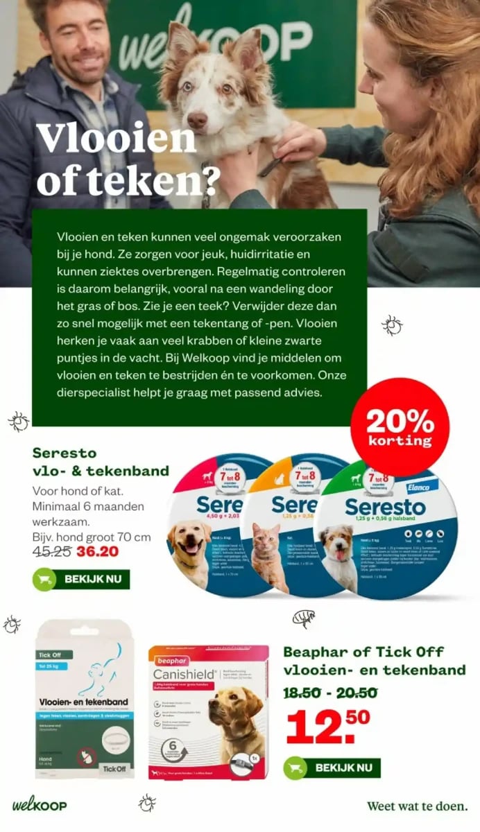 Welkoop folder – pagina 33