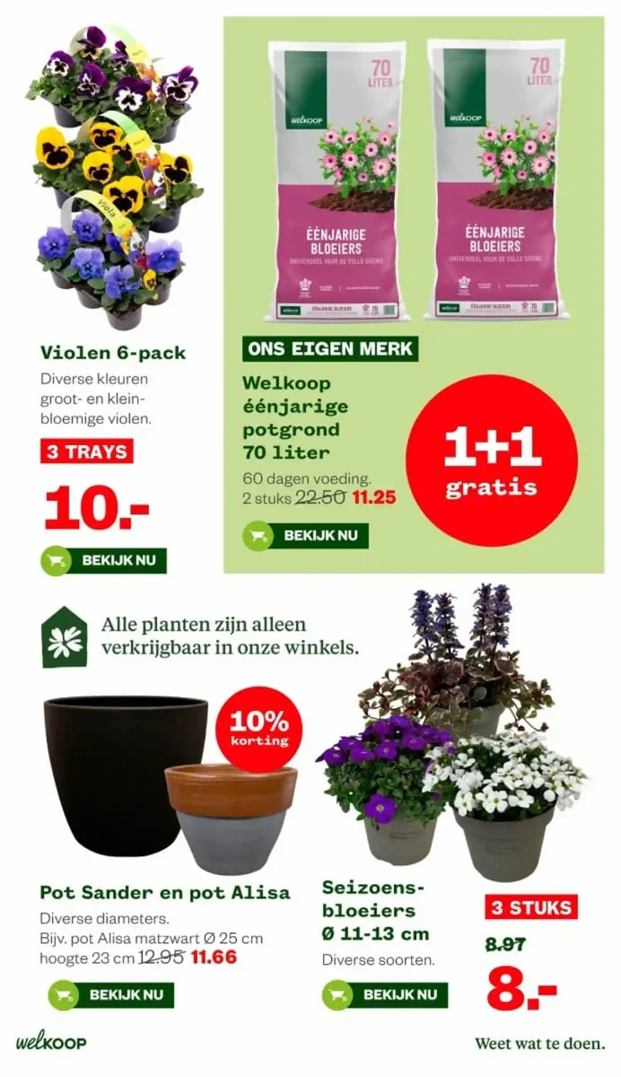 Welkoop folder – pagina 12