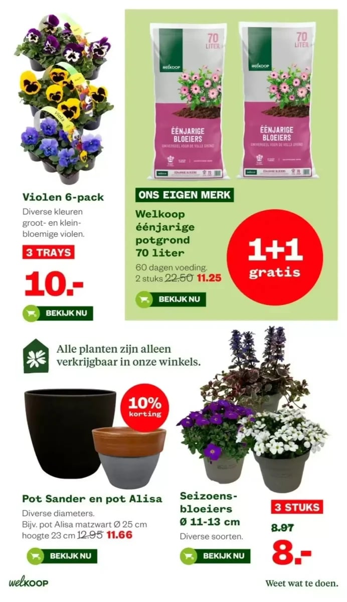 Welkoop folder – pagina 12