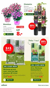 Clematis aanbieding bij Welkoop – geldig van 16.03.2026 t/m 29.03.2026