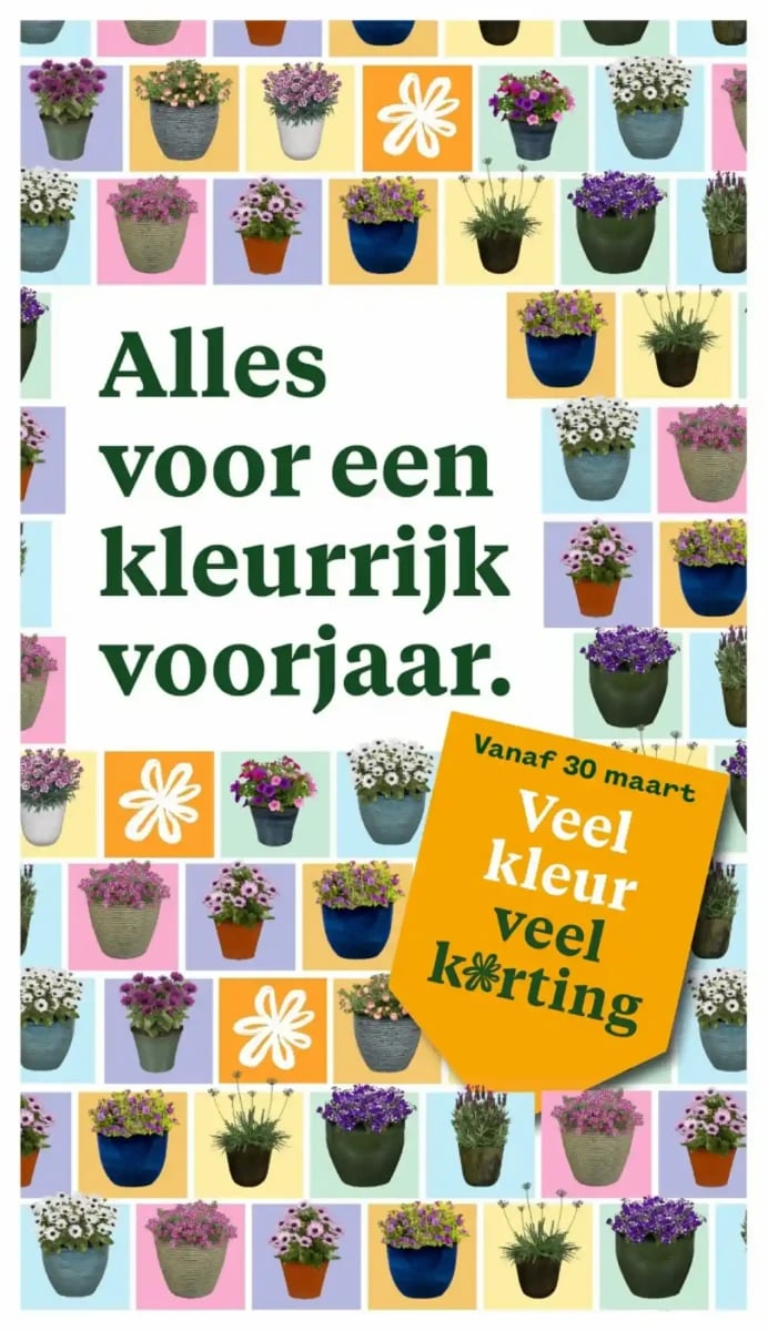 Welkoop folder – pagina 37