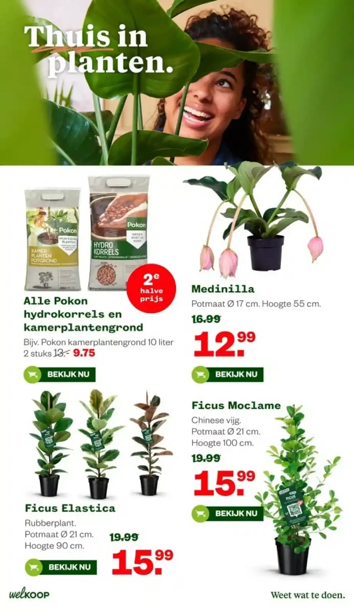 Welkoop folder – pagina 14