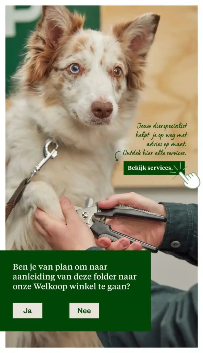 Welkoop folder – pagina 24