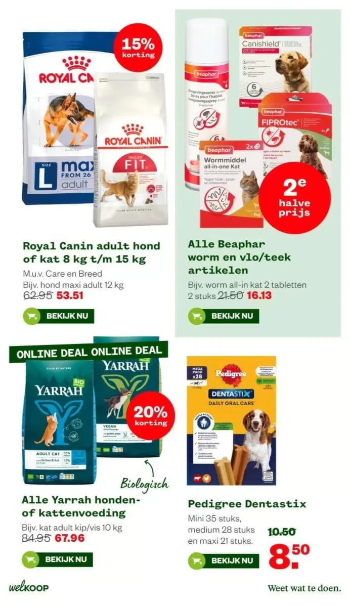 Welkoop folder – pagina 8