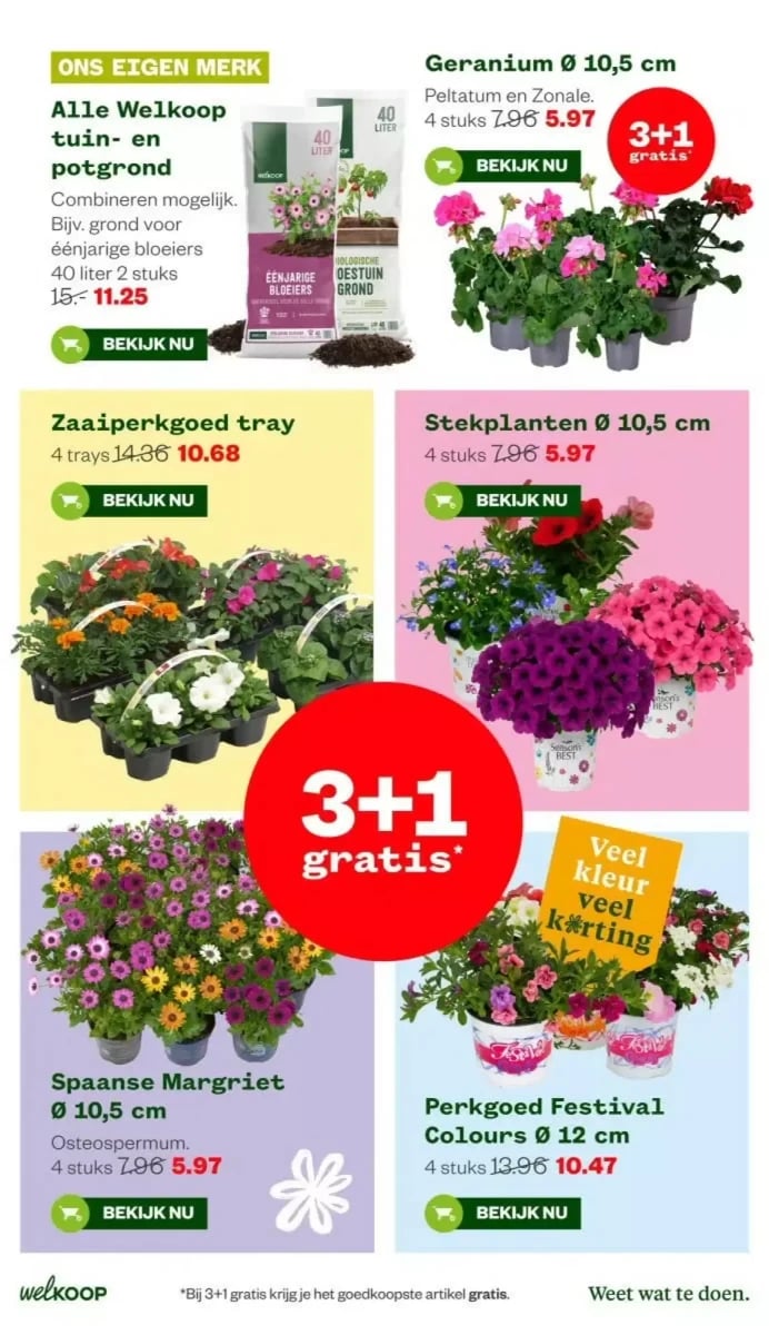 Welkoop folder – pagina 16