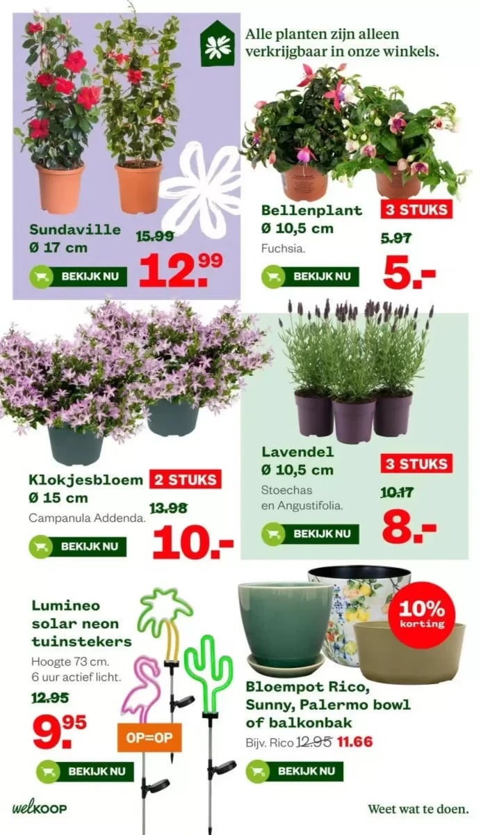 Welkoop folder – pagina 17