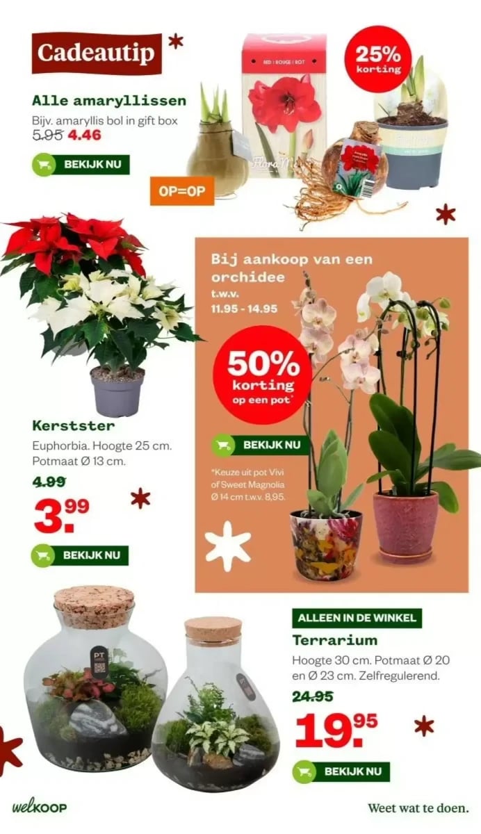 Welkoop folder – pagina 4