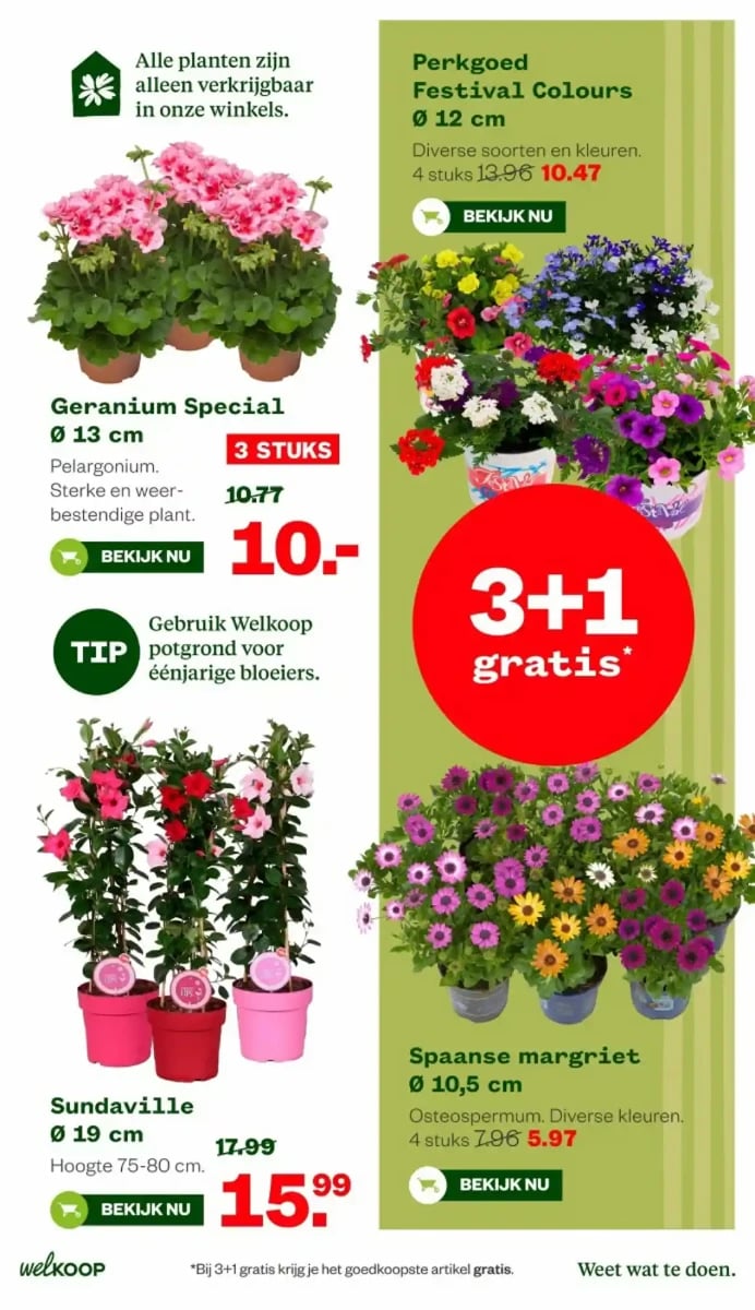 Welkoop folder – pagina 15