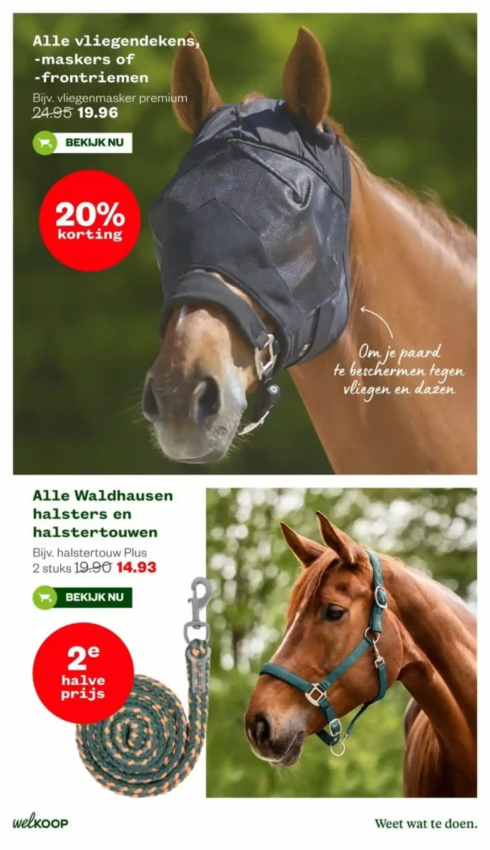 Welkoop folder – pagina 41