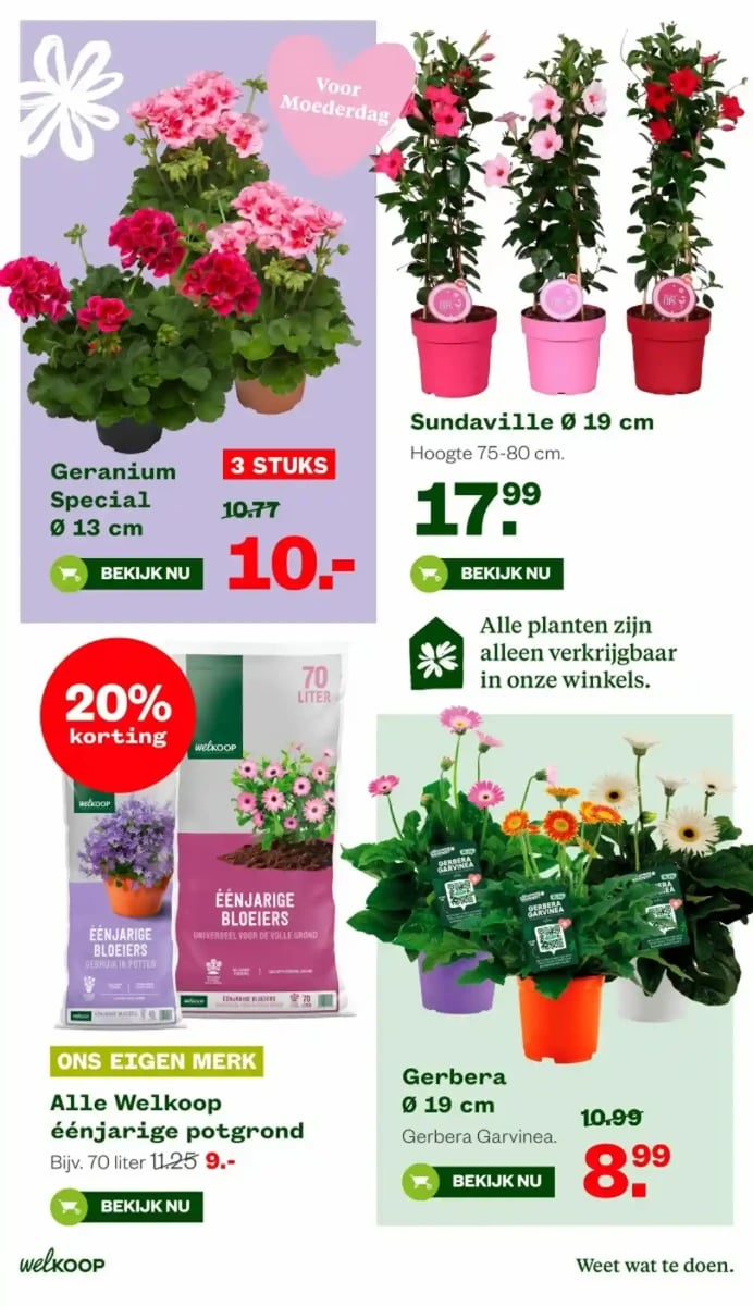 Welkoop folder – pagina 4