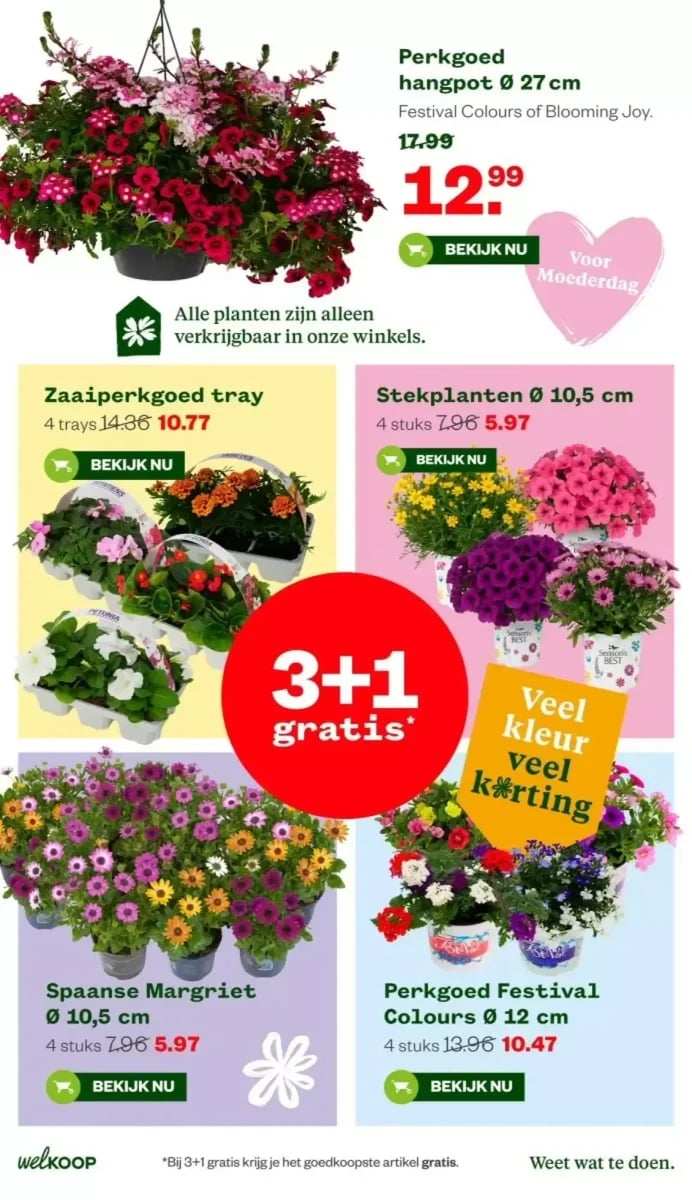 Welkoop folder – pagina 2