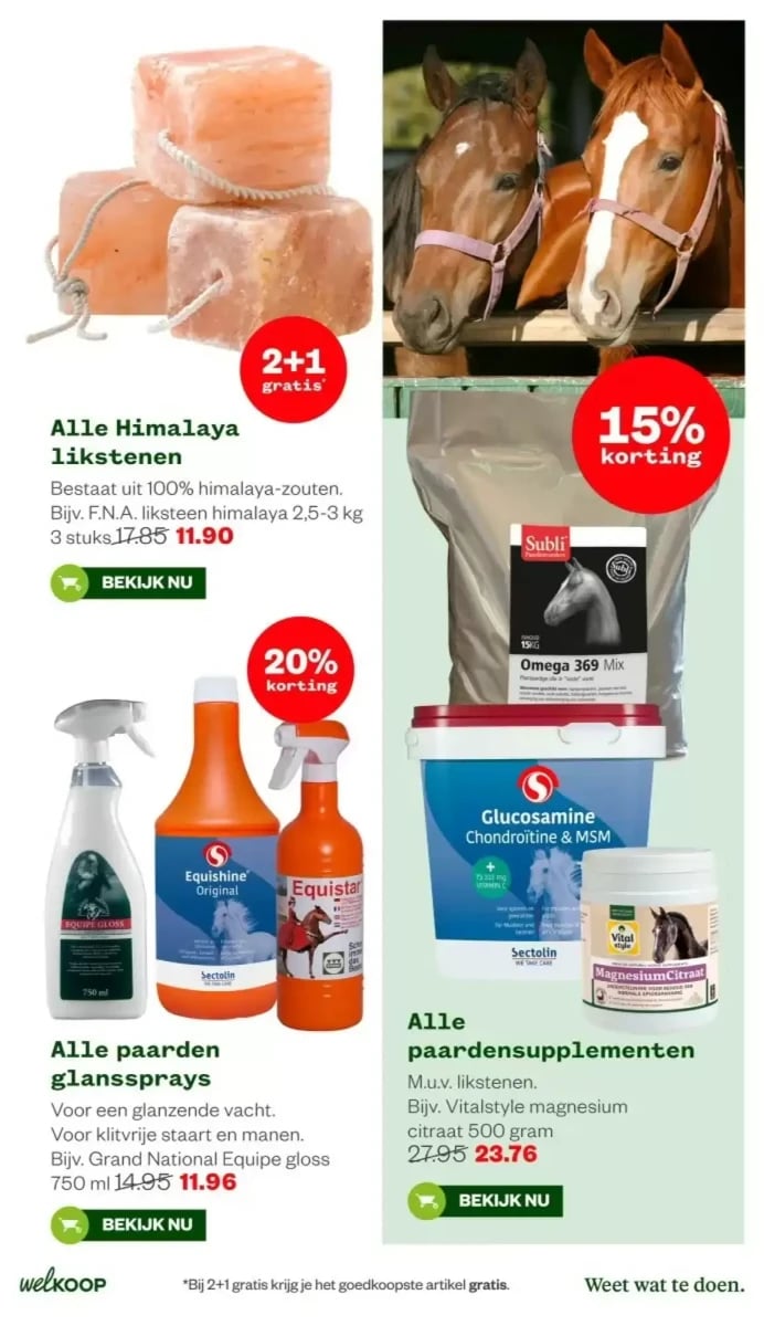 Welkoop folder – pagina 29