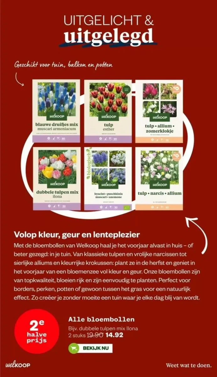 Welkoop folder – pagina 16