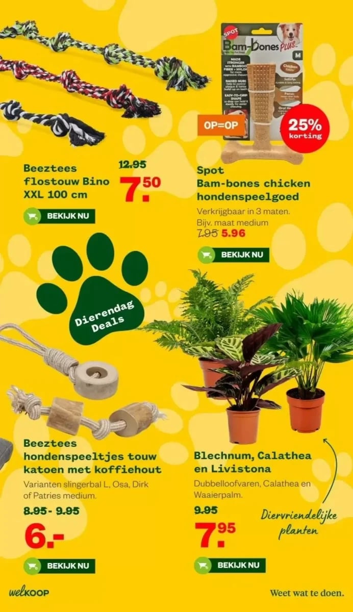 Welkoop folder – pagina 7