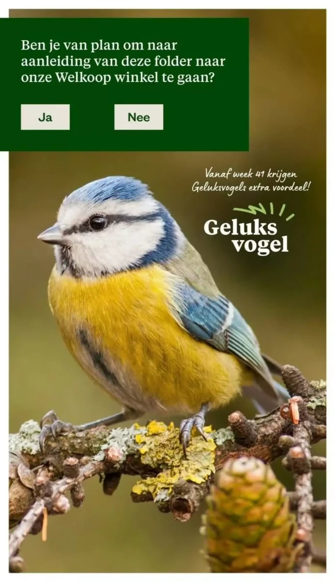 Welkoop folder – pagina 34