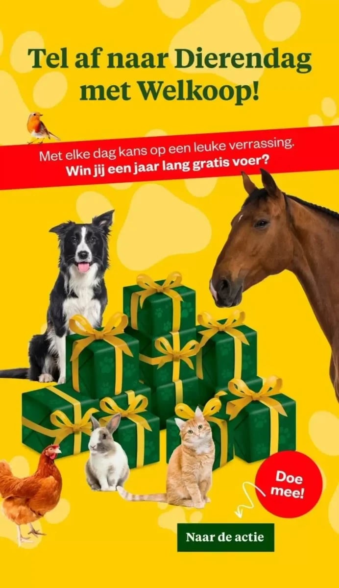 Welkoop folder – pagina 2