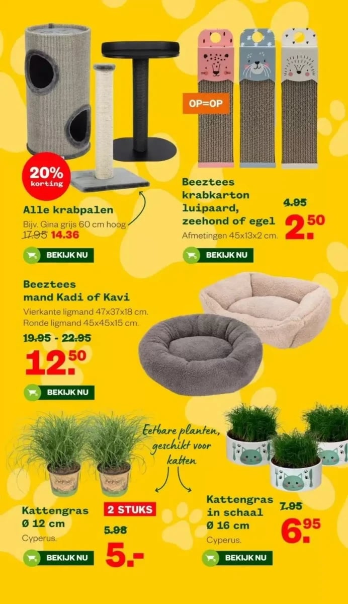 Welkoop folder – pagina 12