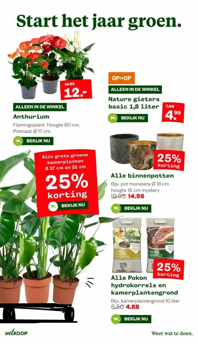 Welkoop folder – pagina 10