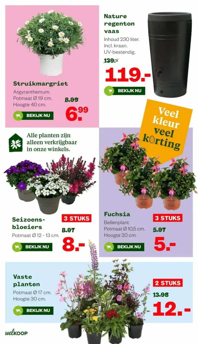 Welkoop folder – pagina 4